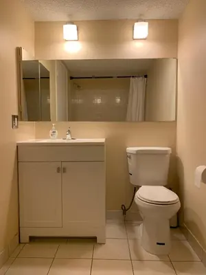 a bathroom with a toilet and a sink and a mirror at MT Pleasant NW 2 bedrooms 502 in Calgary