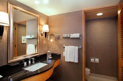 a bathroom with a sink and a mirror and a toilet at Pan Pacific Vancouver in Vancouver