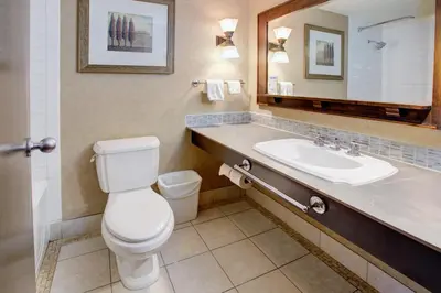 a bathroom with a toilet and a sink at Blackcomb Lodge in Whistler