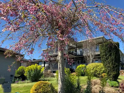 a tree with pink flowers in front of a house at Lovely J Home -Stunning river view cozy two bedroom private suite in New Westminster