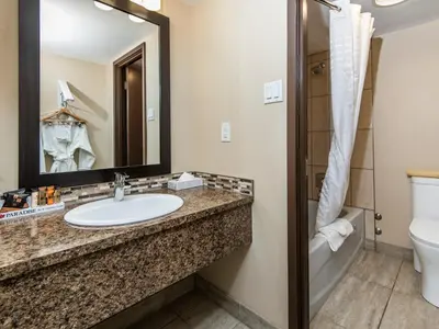 a bathroom with a sink and a toilet and a mirror at Paradise Inn & Conference Centre in Grande Prairie