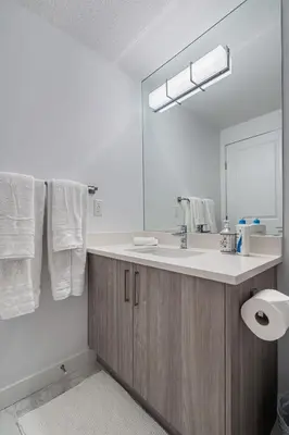 a bathroom with a sink and a large mirror at Luxury Spacious Private House near City Centre in Calgary