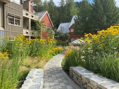 a garden with yellow flowers next to a building at 1BR in Lake Placid Lodge, Steps to Creekside Gondola, Shared Pool and Hot Tub, Lounge Access in Whistler
