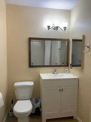 a bathroom with a toilet and a sink and a mirror at MT Pleasant NW 2 bedrooms 500 in Calgary