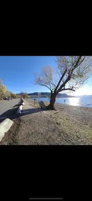 a tree sitting on the beach next to the water at Top Floor on Okanagan Lake with AC & Heated Pool in Vernon