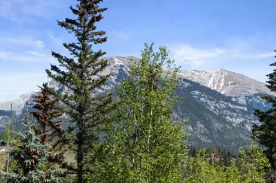two pine trees with mountains in the background at Nature's Nook by Instant Suites Pool & HotTub in Canmore