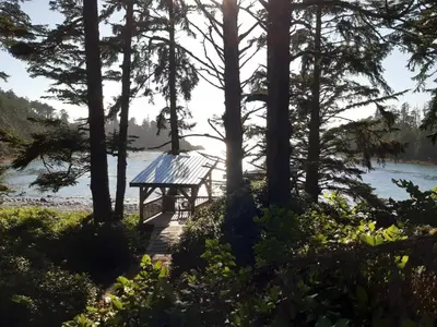 a wooden dock with a bench next to a lake at Fern Gully, Coastal Bohemian Loft at Beach in Ucluelet