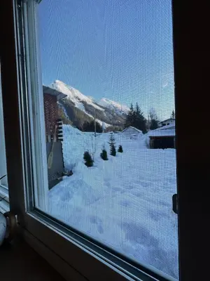 a view of a snow covered yard from a window at The Cabin in Stewart