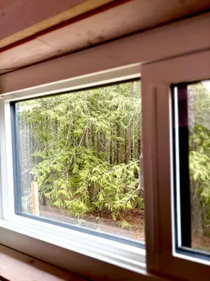 a view of a tree through a window at Forest Nook in Queens Bay