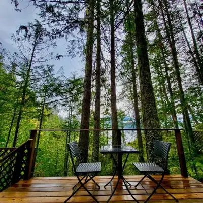 Forest Nook