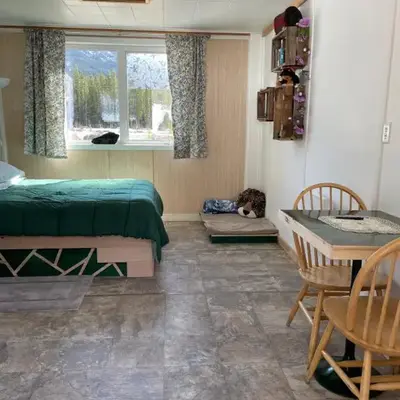 Jade City Dog House