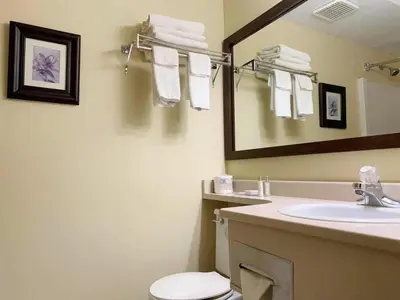 a bathroom with a sink and a toilet and a mirror at MountainView Hotel Merritt in Merritt