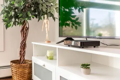 a tv sitting on a white entertainment center with a plant at Stylish Close to D/T FREE parking King Bed 2bed in Edmonton