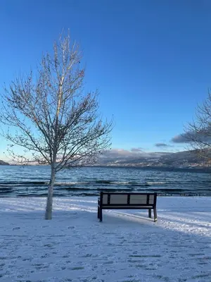 a bench sitting next to a tree in the snow at Kettle Valley Beach Resort in Penticton