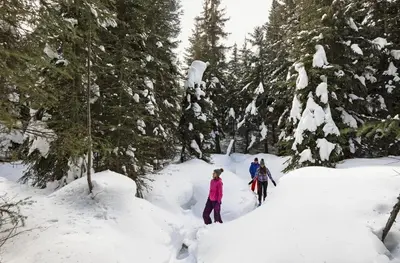 three people cross country skiing through a snow covered forest at Stones Throw #24 in Sun Peaks
