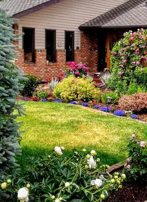 a house with a garden with flowers in front of it at Hannie's Gasthuis in Blind Bay