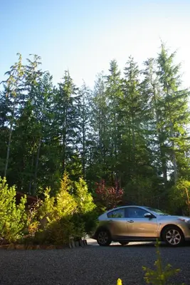 a car parked in a parking lot in front of trees at Wild Coast Chalets in Port Renfrew