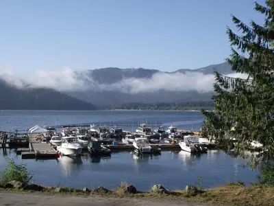 a bunch of boats are docked in a harbor at Wild Coast Chalets in Port Renfrew