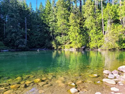 a view of a river with trees in the background at The Cottage on the Farm in Ladysmith