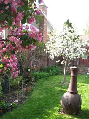 a garden with a large vase in the grass at The Grateful Bed B'n'B in Prince George