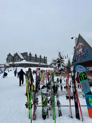 a bunch of skis and snowboards are lined up in the snow at 1 bedroom lake Mountain view in West Kelowna