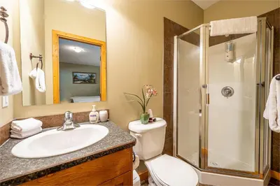 a bathroom with a toilet and a sink and a shower at Bear's Paw Chalet - Amazing Location & Ski In-Out in Big White