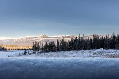 a snowy field with trees and mountains in the background at Fully Renovated Ski-in/out Loft with Private Hot Tub! in Golden
