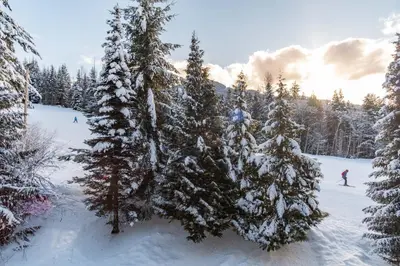 a person is skiing in front of a snow covered tree at The best ski in ski out two bedroom condo at Aspens in Whistler
