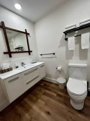 a bathroom with a toilet and a sink and a mirror at Two Bedroom House by Snow Valley Lodging in Fernie