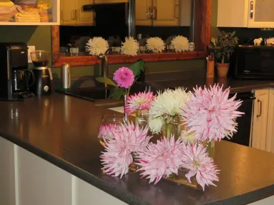 a bunch of pink flowers in a vase on a counter at Misty Meadows B and B in Langford
