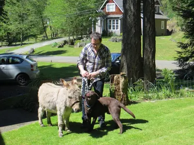 a man with two dogs in a yard at Misty Meadows B and B in Langford