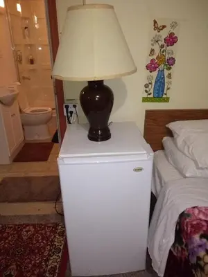 a lamp on top of a white refrigerator next to a bed at Guest Suite - Private Retreat - J-1 in Abbotsford