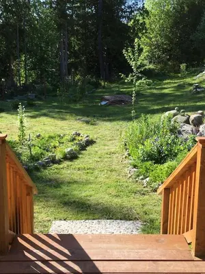 a wooden walkway leading to a field of grass with trees at Cozy ,artistic cottage in a garden setting close to the beach and hiking trails. in Powell River