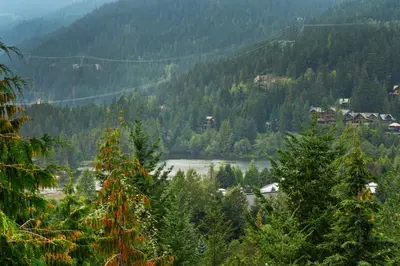 a view of a river in a valley with trees at Whistler 'Treehouse' in Whistler