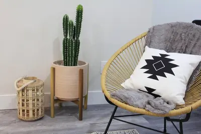 a rattan chair with a pillow and a cactus at Executive Bsmt Suite, King Bed, 5 min to DT & Whyte Ave, Sleeps 6! in Edmonton