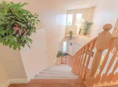 a staircase in a house with a plant at 2500 sq house in Springbank Hill BL 261818 in Calgary