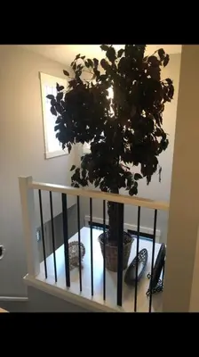 a potted plant sitting on top of a staircase at Cozy and beautiful 3 bedroom house close to lake in Edmonton