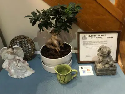 a table with a potted plant and figurines on it at Xin Xin House in Richmond