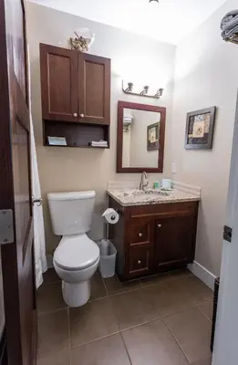 a bathroom with a toilet and a sink at Sunrise Cove Apt at Inn of The Sea in Ladysmith