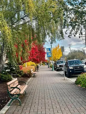 a sidewalk with benches and cars parked on a street at Oceanside Manor - Ocean View in Qualicum Beach