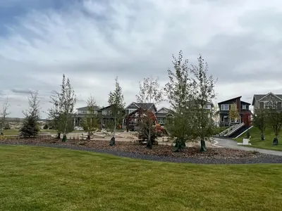 a row of houses with trees in a park at Cozy New Suite in NW Calgary in Calgary