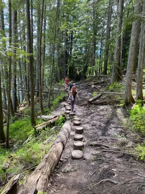 a person walking on a trail in the woods at Revelstoke RV & Cabin Resort in Revelstoke