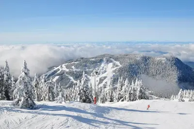 a snow covered mountain with trees on a ski slope at Seymour Private Bedroom, Ensuite Bathroom with Shared Pool, Hot Tub with Views in North Vancouver