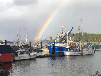a rainbow over boats in a harbor with a rainbow at Brown's Beach Guest Suite in Ucluelet