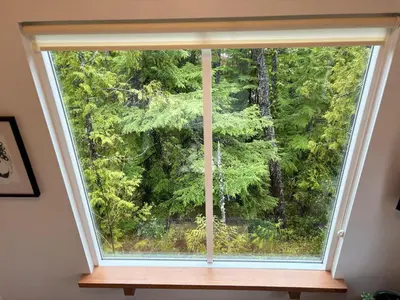 a window with a view of a forest at Brown's Beach Guest Suite in Ucluelet
