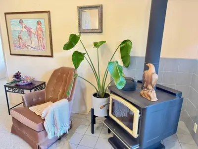 a living room with a fireplace and a chair and a plant at Waterfront Eagle Nest in Nanaimo