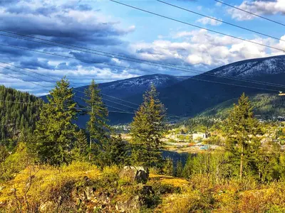 a view of a valley with a lake and mountains at Boho Bungalow in Nelson