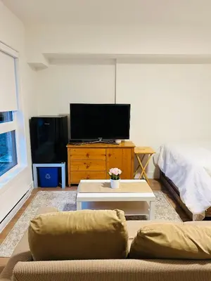 a living room with a couch and a flat screen tv at Victoria private studio suite in Victoria